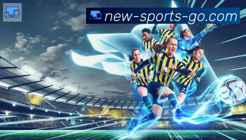bsports体育平台生态图